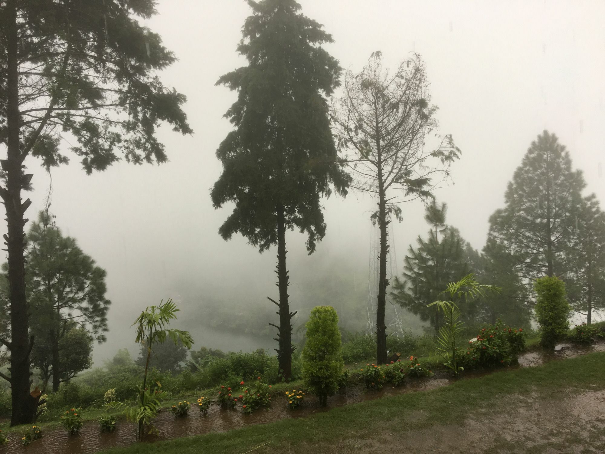 Nainital Adventure Park & Resort Exteriér fotografie